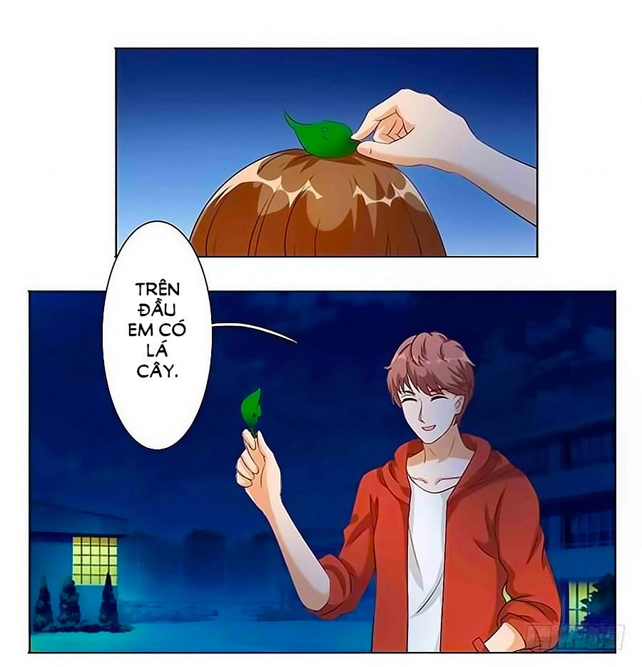 Cô Vợ Bé Nhỏ Của Boss Chapter 18 - 10