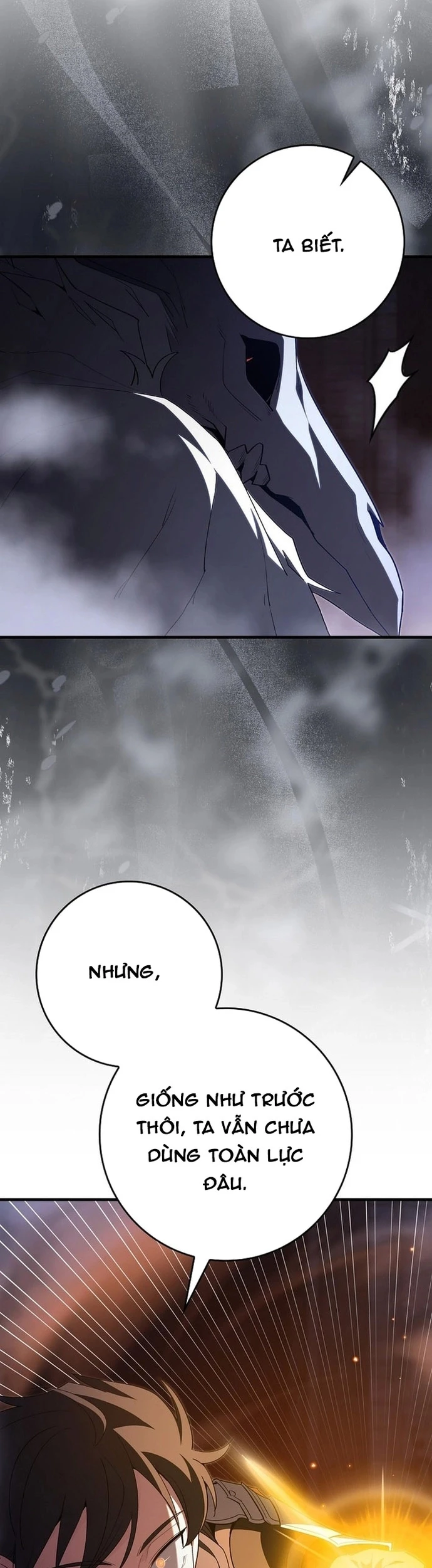 Người Chơi Cấp Tối Đa Chapter 116 - 29