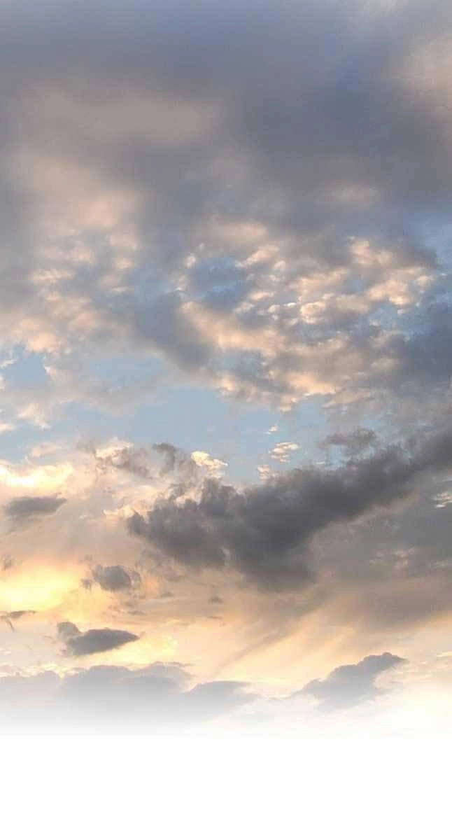 Thiên Hạ Đệ Nhất Y Lại Môn Chapter 43 - 56