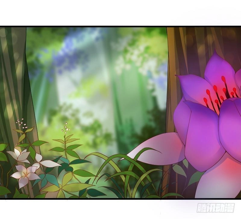 Khuynh Thế Độc Phi Chapter 13 - 18