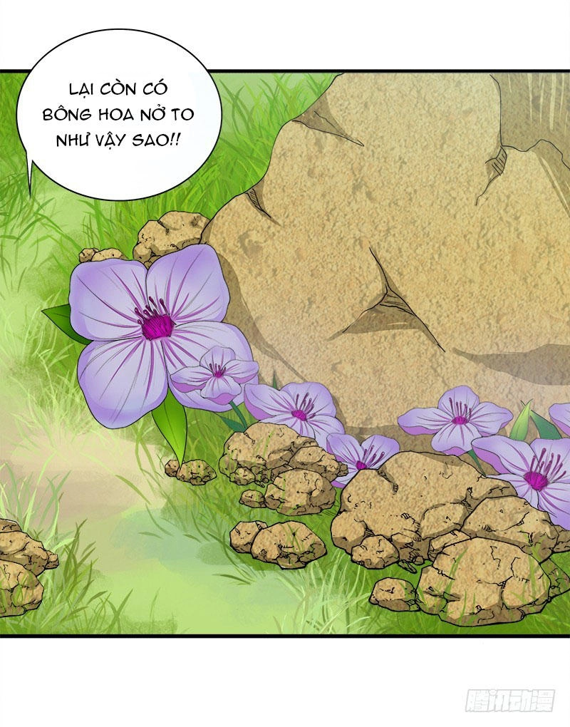 Khuynh Thế Độc Phi Chapter 13 - 24