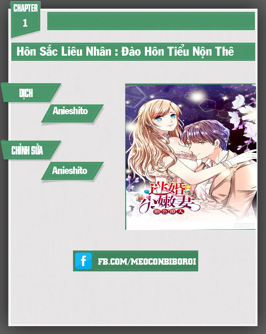 Hôn Sắc Liêu Nhân: Đào Hôn Tiểu Nộn Thê Chapter 1 - 1