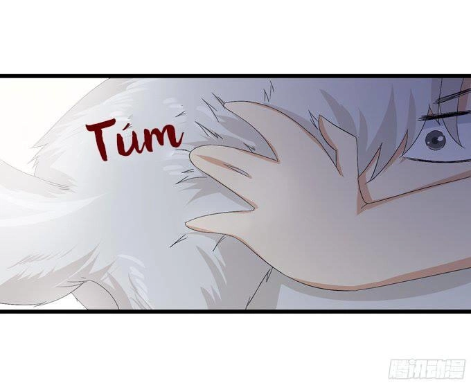 Đát Kỷ Bất Thị Họa Hồ Ly Chapter 1 - 99