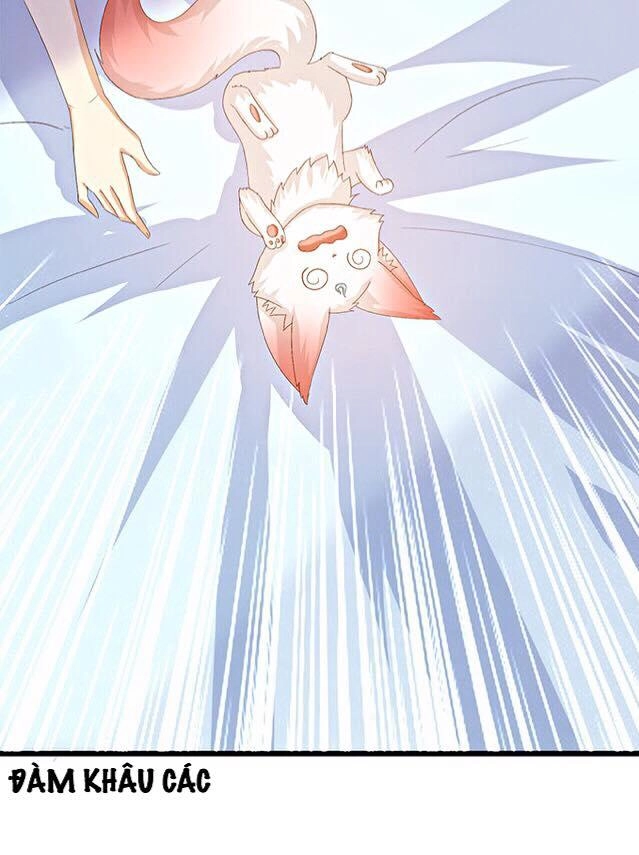 Đát Kỷ Bất Thị Họa Hồ Ly Chapter 4 - 7