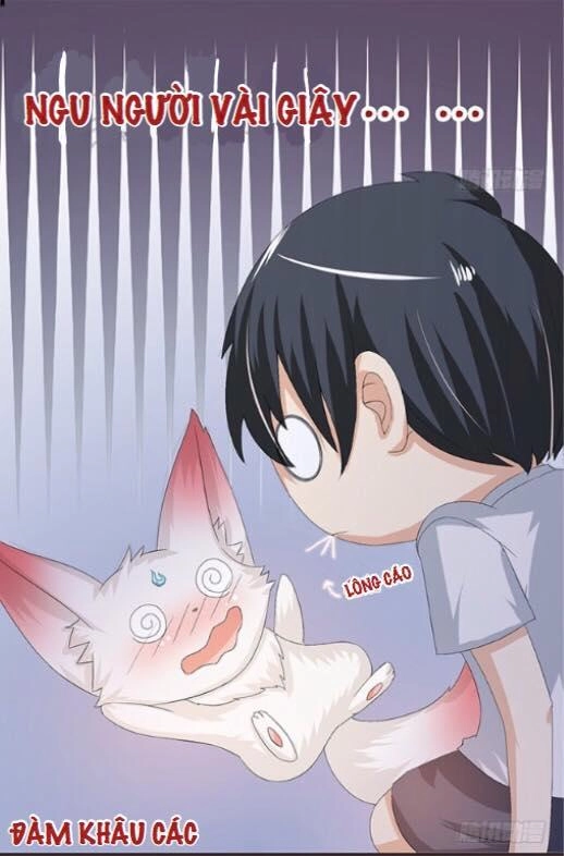 Đát Kỷ Bất Thị Họa Hồ Ly Chapter 4 - 8