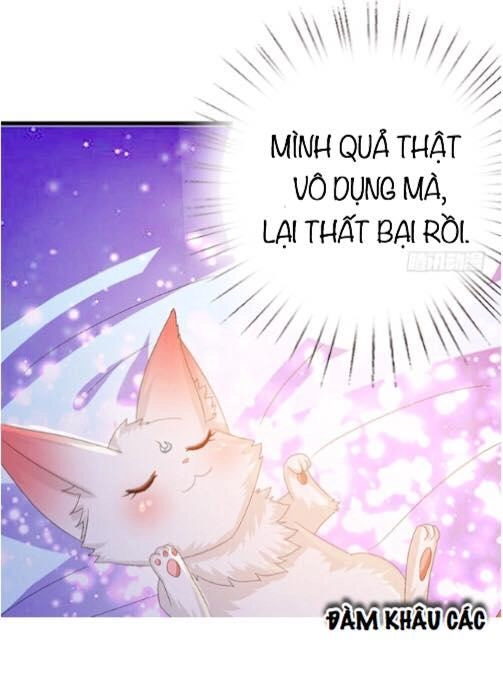 Đát Kỷ Bất Thị Họa Hồ Ly Chapter 4 - 12