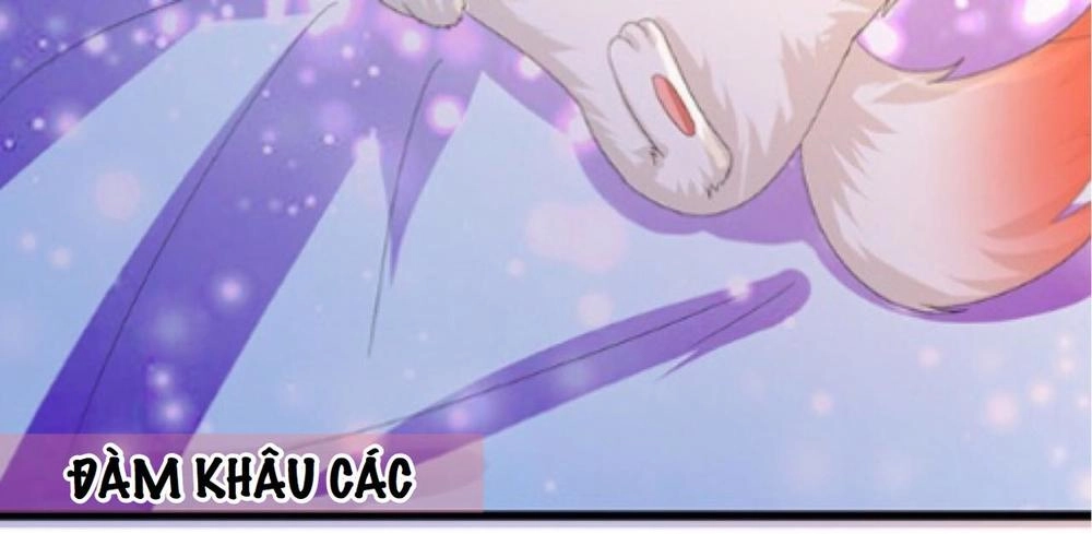 Đát Kỷ Bất Thị Họa Hồ Ly Chapter 4 - 13