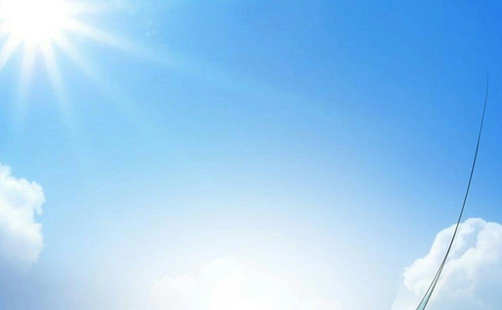 Đát Kỷ Bất Thị Họa Hồ Ly Chapter 9 - 77