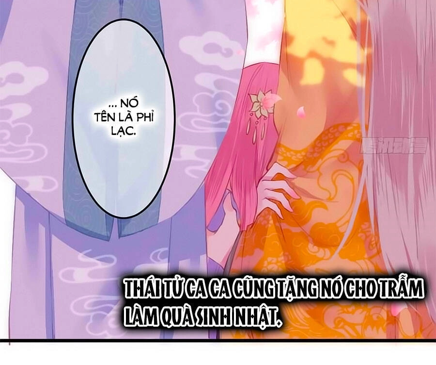 Trẫm Quyết Định Giải Tán Hậu Cung Chapter 2 - 3