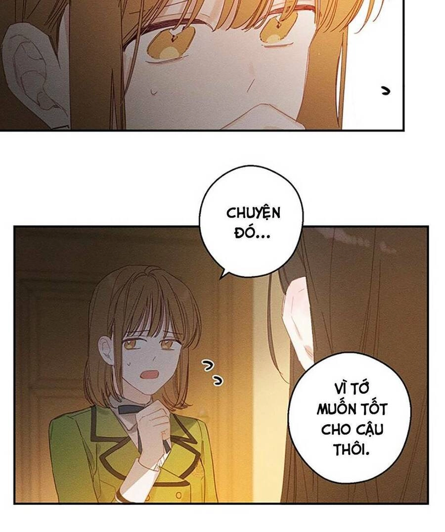 Tôi Phải Giấu Em Trai Trước Đã Chapter 11 - 17