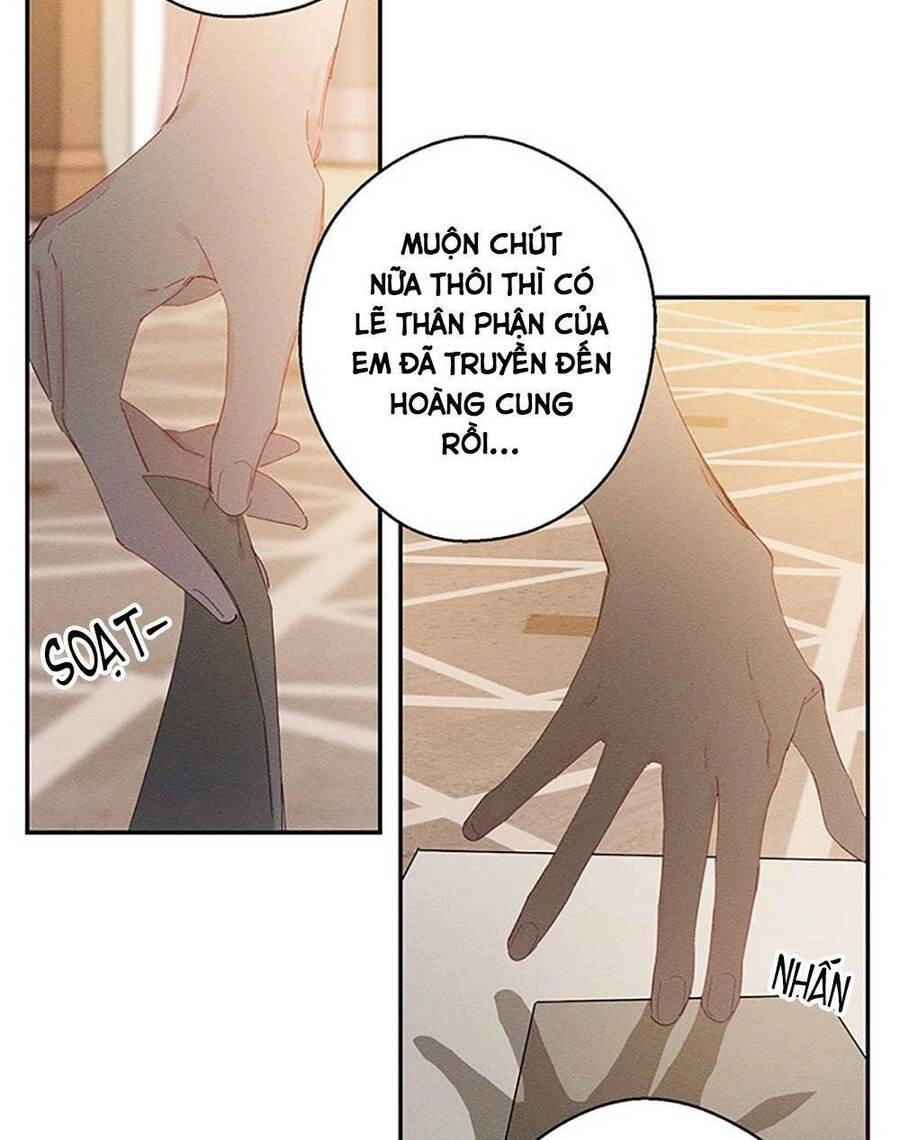 Tôi Phải Giấu Em Trai Trước Đã Chapter 11 - 44