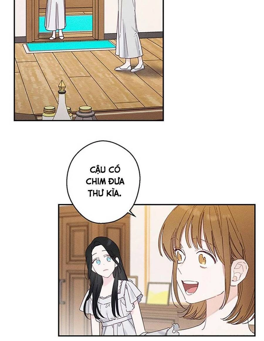 Tôi Phải Giấu Em Trai Trước Đã Chapter 13 - 21