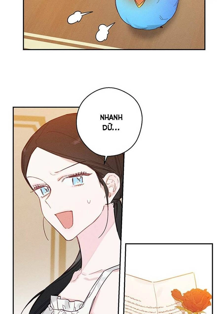 Tôi Phải Giấu Em Trai Trước Đã Chapter 19 - 45