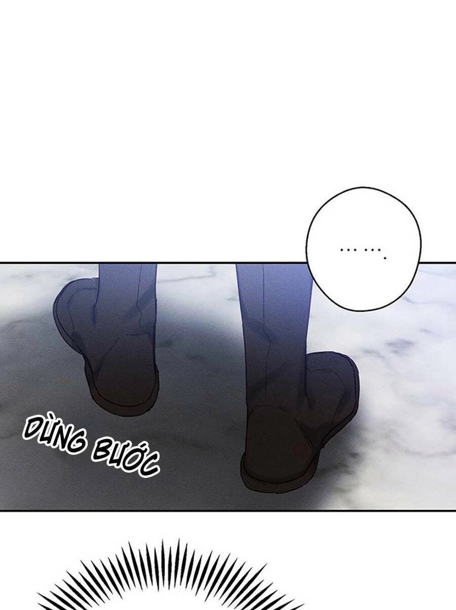 Tôi Phải Giấu Em Trai Trước Đã Chapter 23 - 45