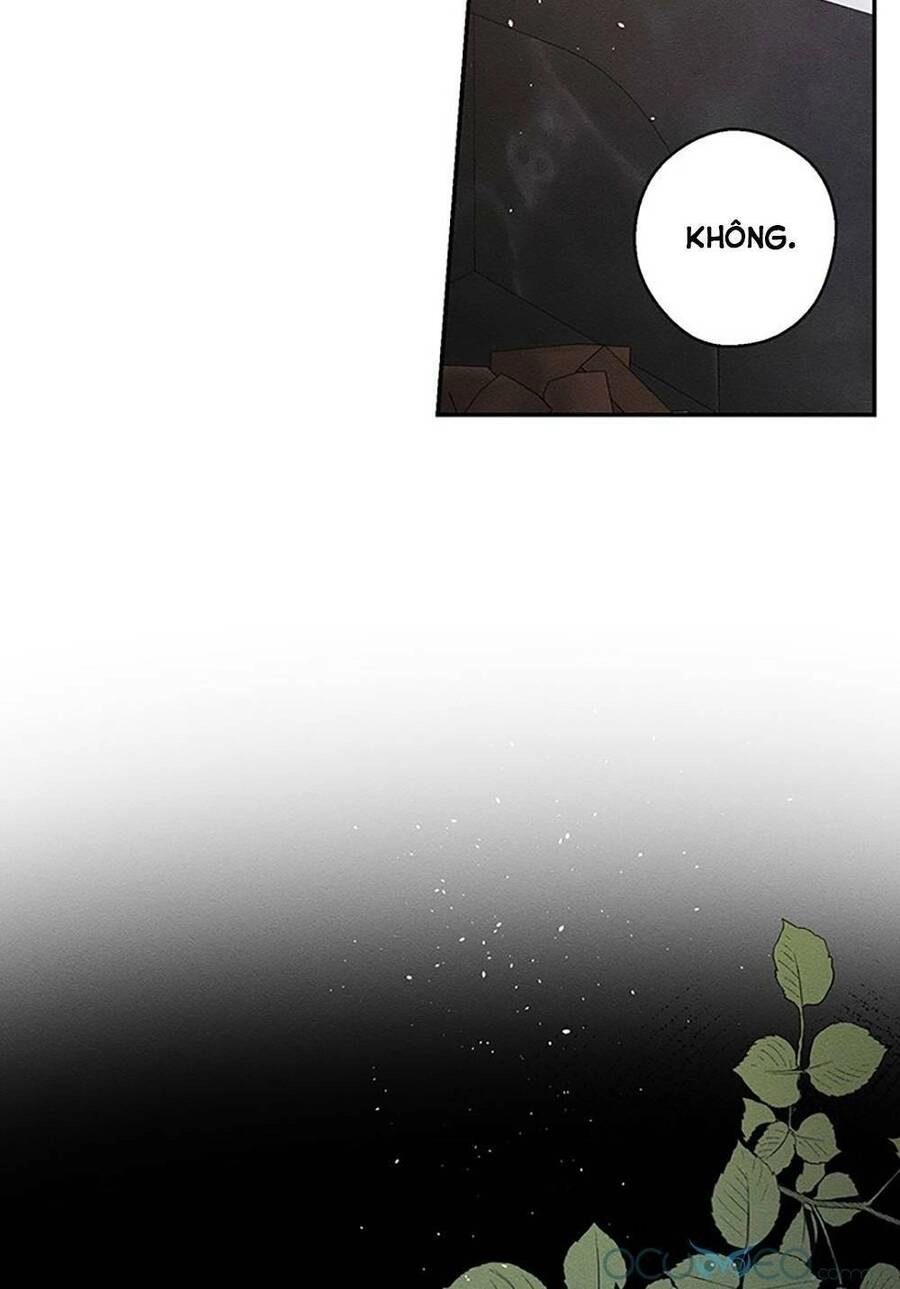 Tôi Phải Giấu Em Trai Trước Đã Chapter 28 - 9