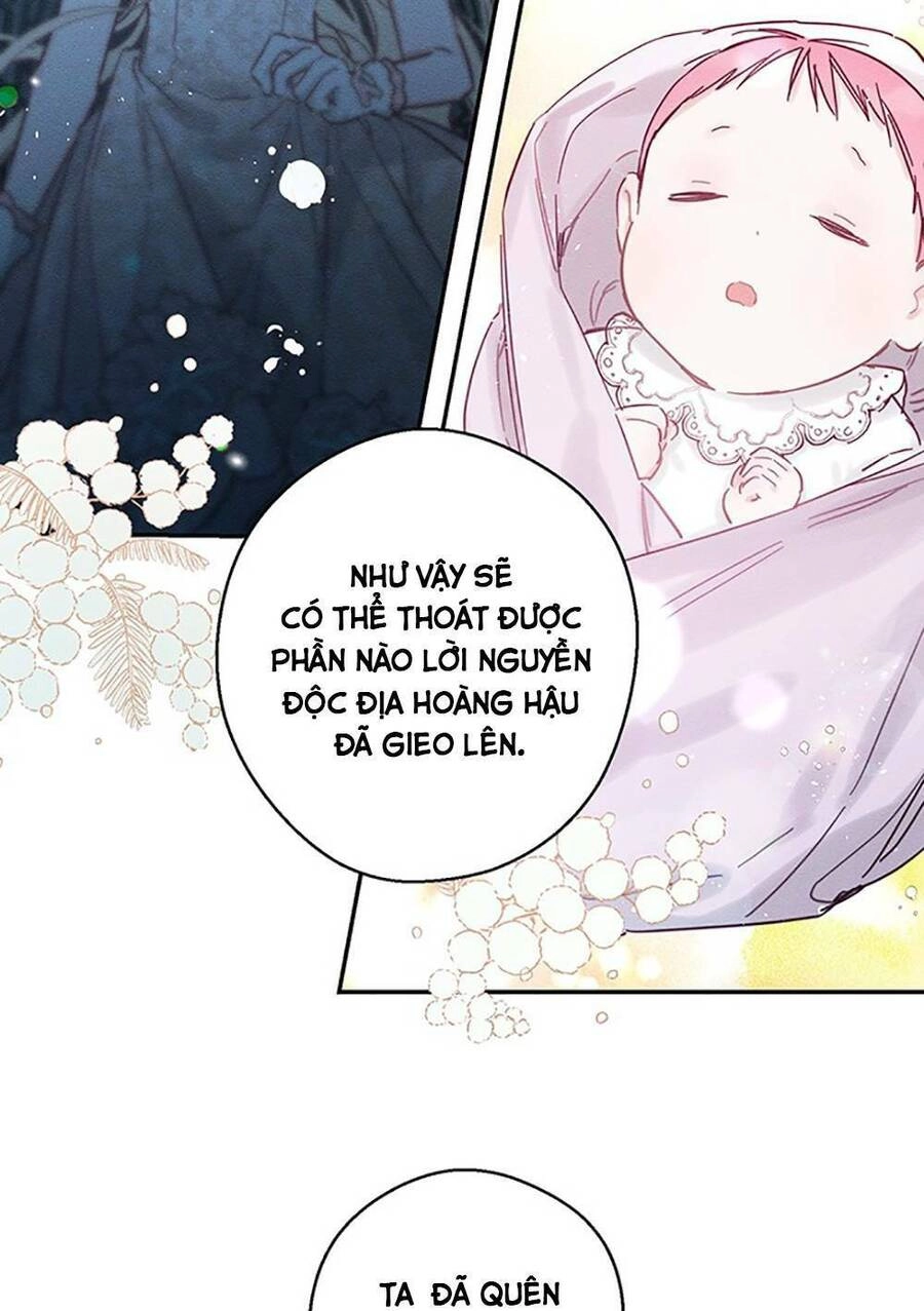 Tôi Phải Giấu Em Trai Trước Đã Chapter 28 - 36