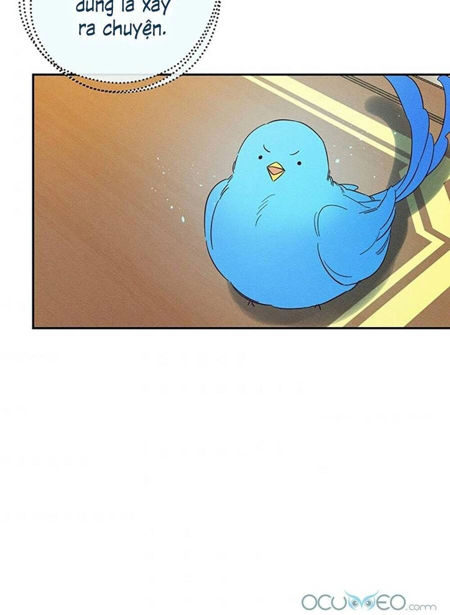 Tôi Phải Giấu Em Trai Trước Đã Chapter 36 - 7