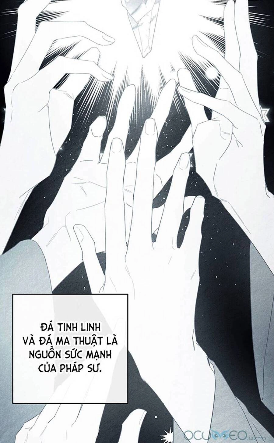 Tôi Phải Giấu Em Trai Trước Đã Chapter 37 - 51