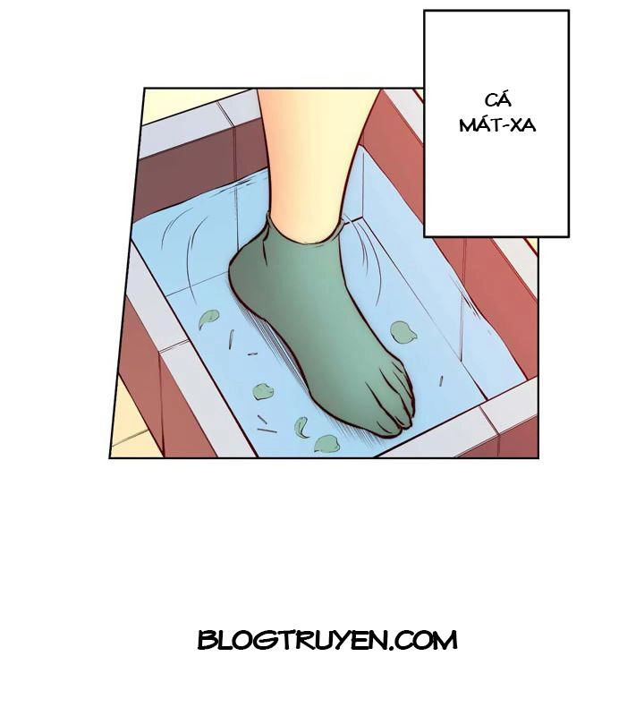 Unbalance Triangle Chapter 14 - 24