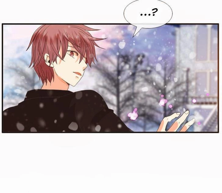 Flow Chapter 36 - 38