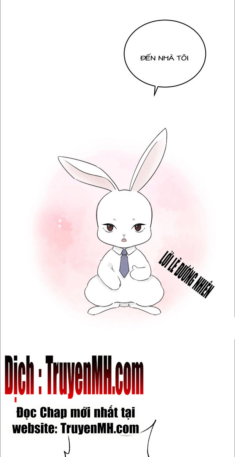 Không Nên Tùy Tiện Đối Nghịch Với Thủ Trưởng Chapter 5 - 5