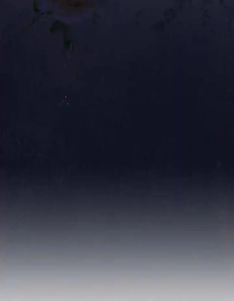 Tôi Sẽ Bị Trừ Khử Cùng Hoàng Đế Chapter 142 - 102