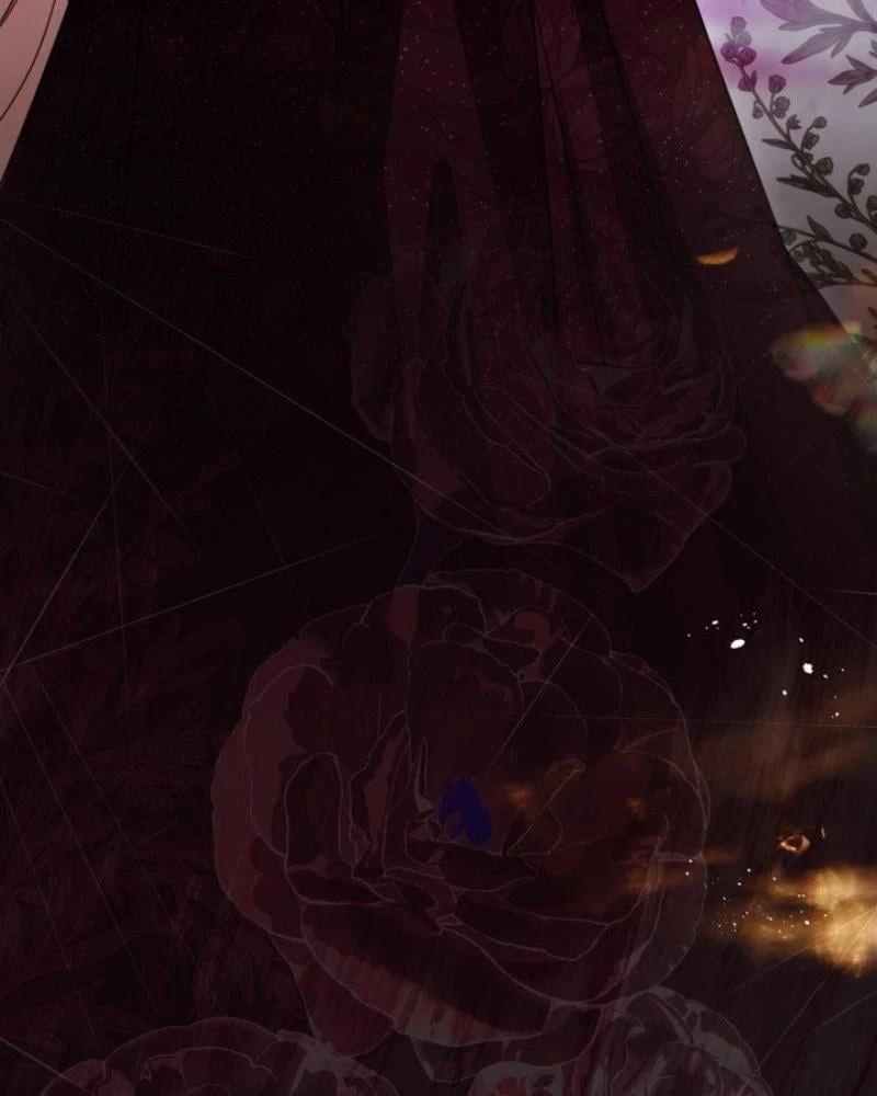 Tôi Sẽ Bị Trừ Khử Cùng Hoàng Đế Chapter 147 - 98