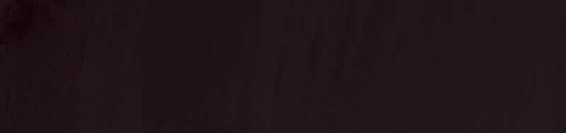 Tôi Sẽ Bị Trừ Khử Cùng Hoàng Đế Chapter 147 - 100