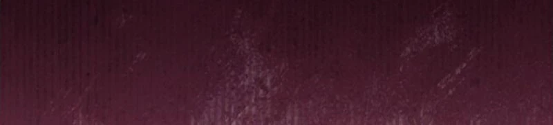 Tôi Sẽ Bị Trừ Khử Cùng Hoàng Đế Chapter 149 - 80