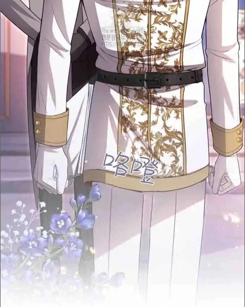 Tôi Sẽ Bị Trừ Khử Cùng Hoàng Đế Chapter 151 - 91