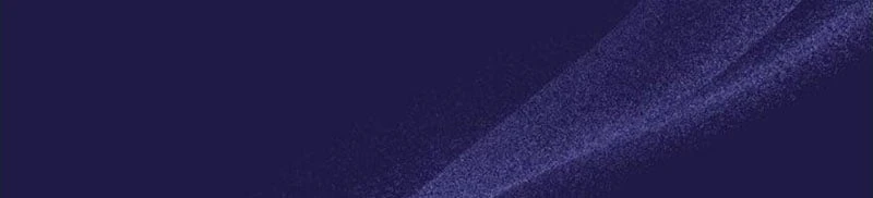 Tôi Sẽ Bị Trừ Khử Cùng Hoàng Đế Chapter 155 - 80