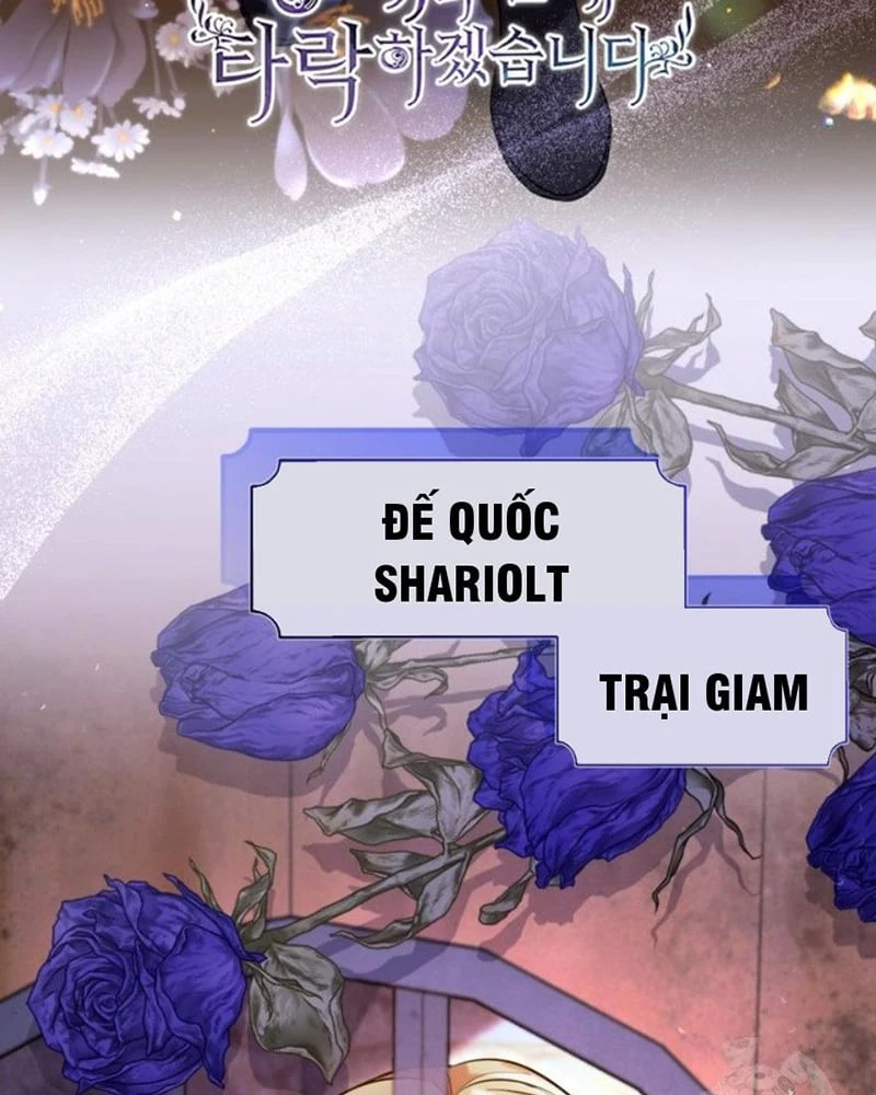 Tôi Sẽ Bị Trừ Khử Cùng Hoàng Đế Chapter 162 - 17