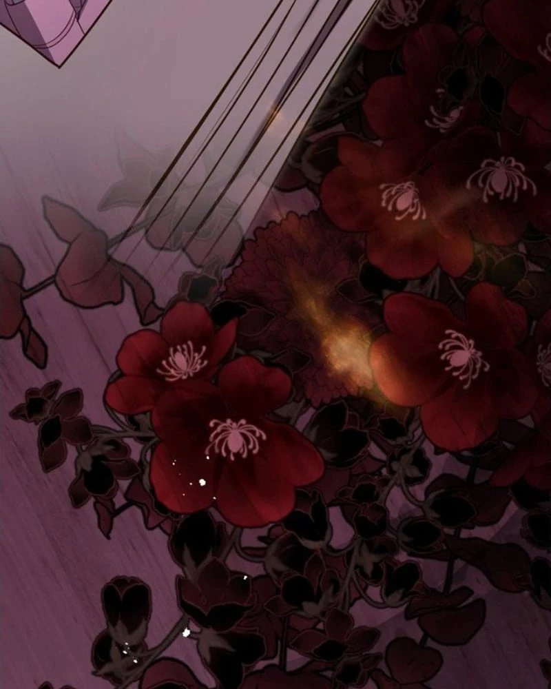 Tôi Sẽ Bị Trừ Khử Cùng Hoàng Đế Chapter 162 - 104