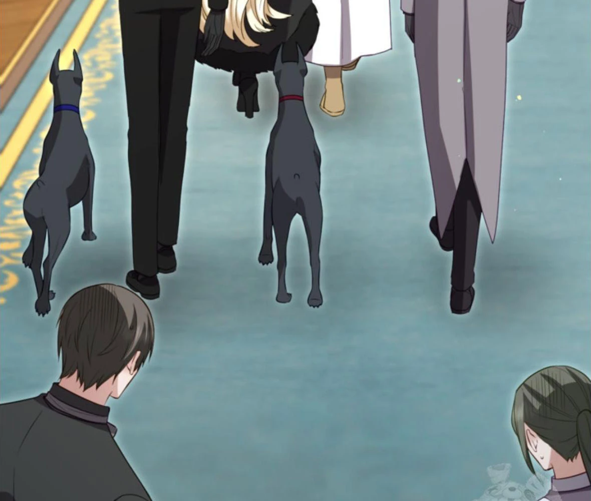 Tôi Sẽ Bị Trừ Khử Cùng Hoàng Đế Chapter 168 - 49