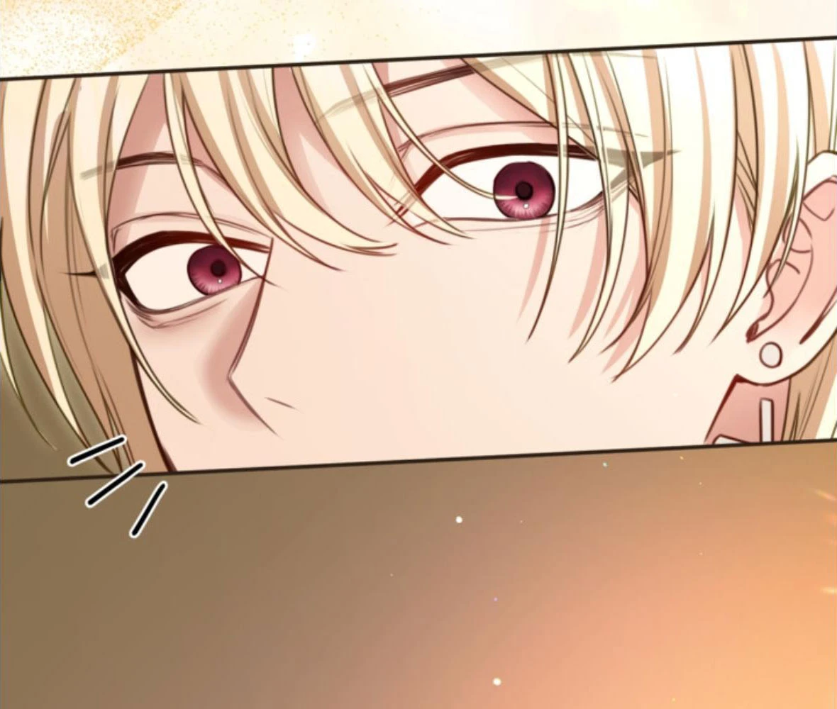 Tôi Sẽ Bị Trừ Khử Cùng Hoàng Đế Chapter 168 - 133