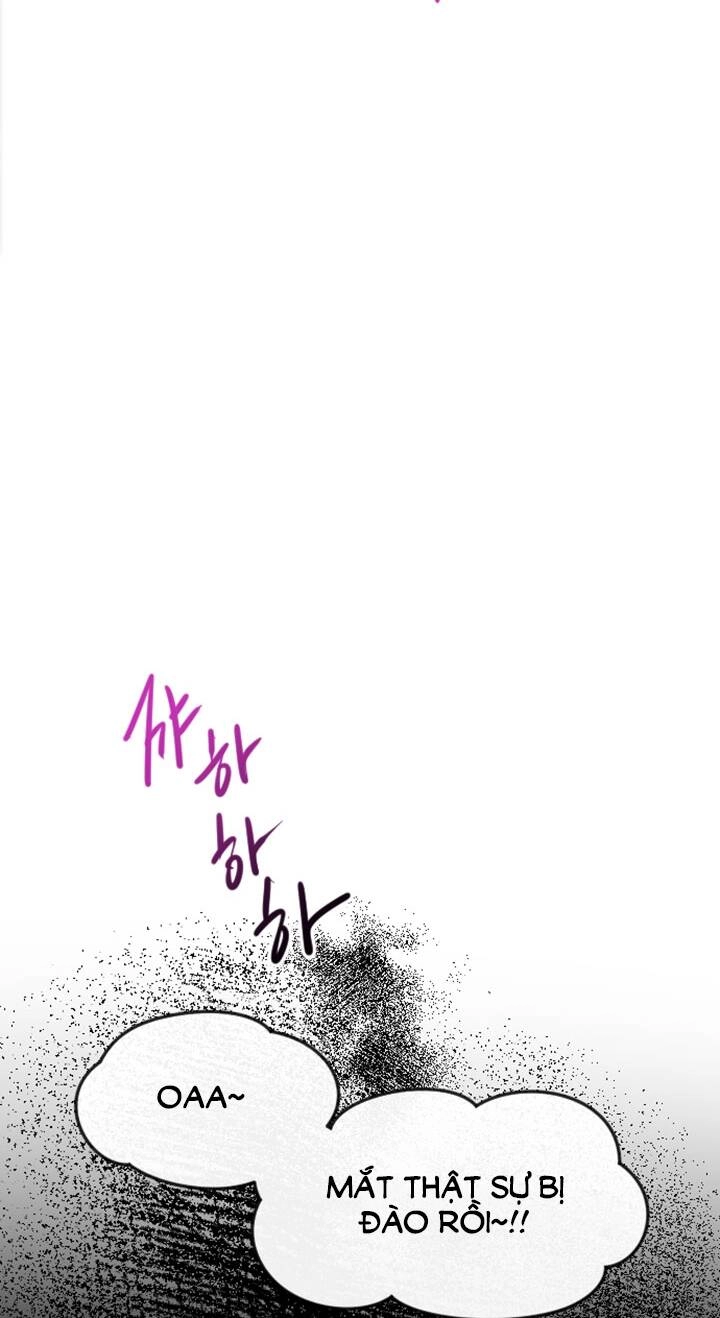 Tôi Sẽ Bị Trừ Khử Cùng Hoàng Đế Chapter 69.2 - 13