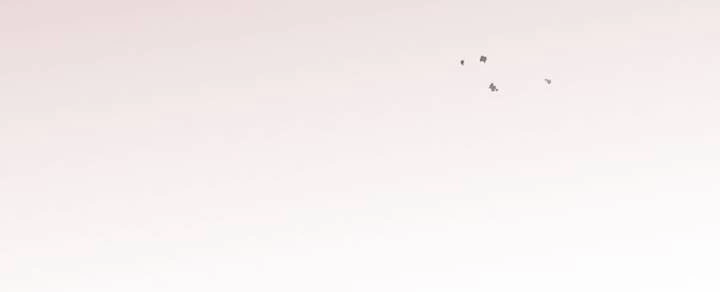 Tôi Sẽ Bị Trừ Khử Cùng Hoàng Đế Chapter 82.2 - 40