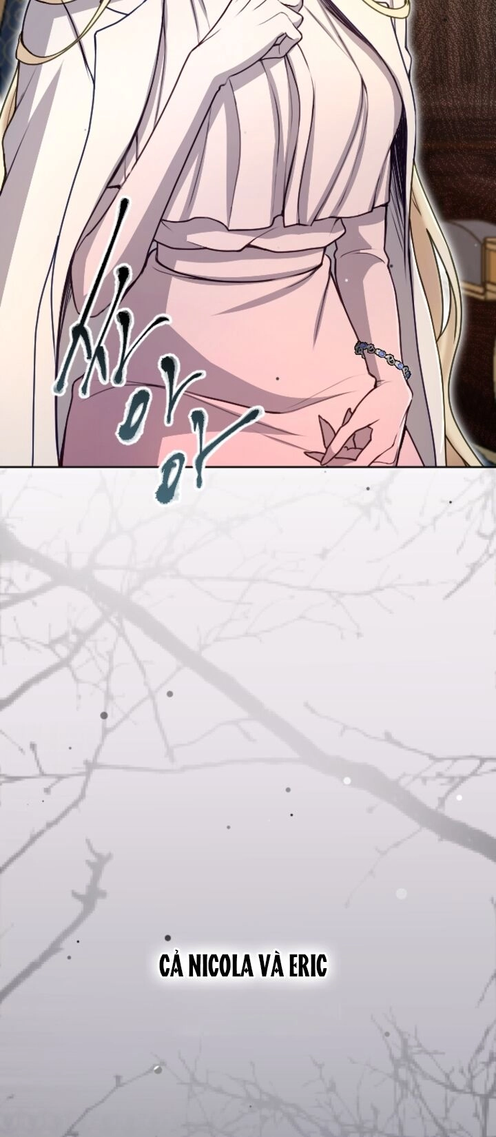 Tôi Sẽ Bị Trừ Khử Cùng Hoàng Đế Chapter 93.1 - 17