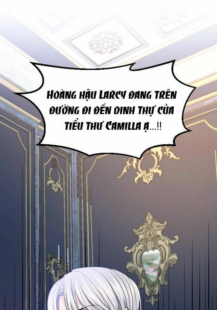 Tôi Sẽ Bị Trừ Khử Cùng Hoàng Đế Chapter 25.5 - 71