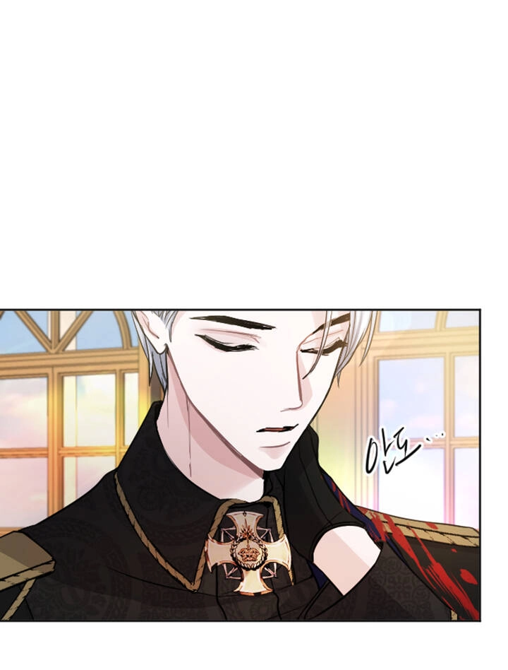 Tôi Sẽ Bị Trừ Khử Cùng Hoàng Đế Chapter 50.1 - 22