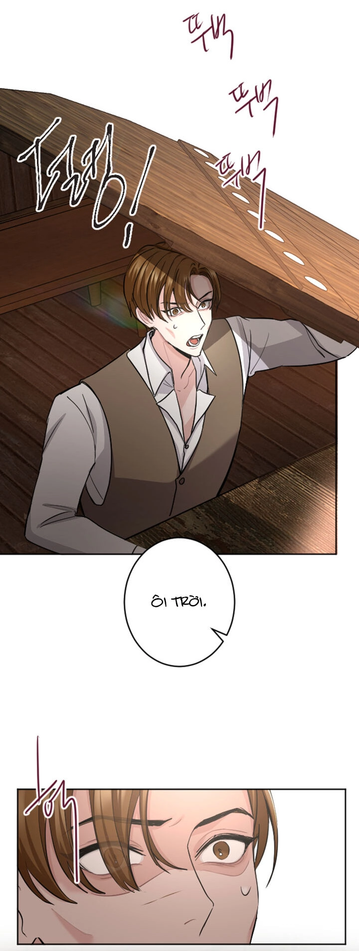 Tôi Sẽ Bị Trừ Khử Cùng Hoàng Đế Chapter 51.1 - 29