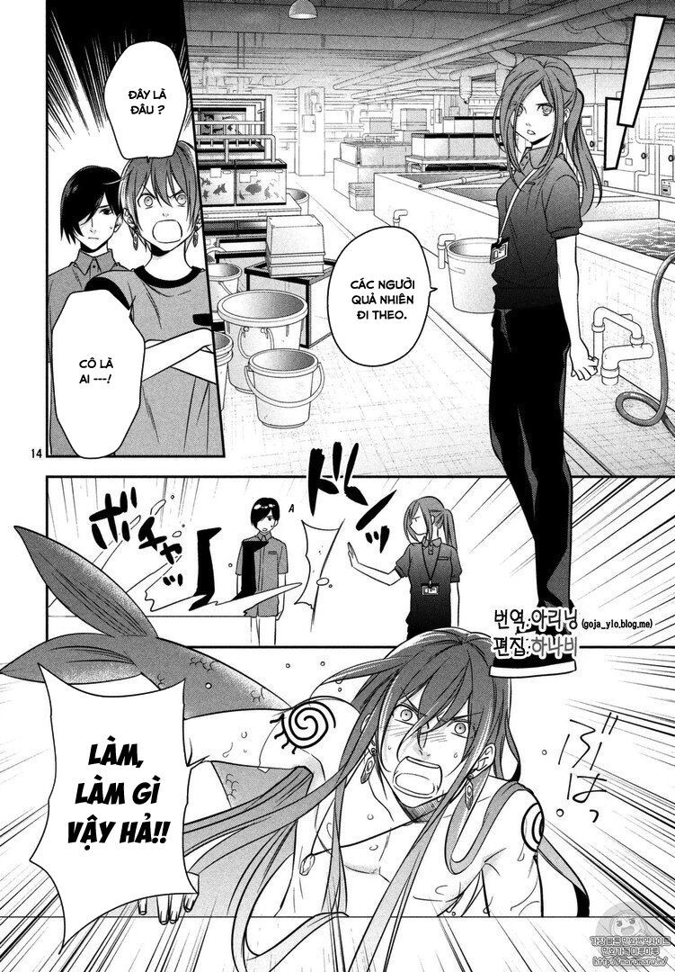 Mermaid Boys Chapter 12 - 17