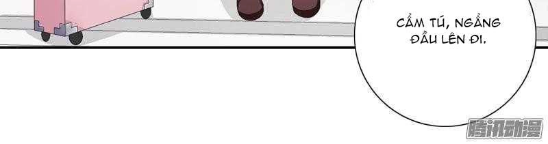 Cưng Chiều Vợ Cũ Lão Bà Đại Nhân Thật Mê Người Chapter 41 - 3