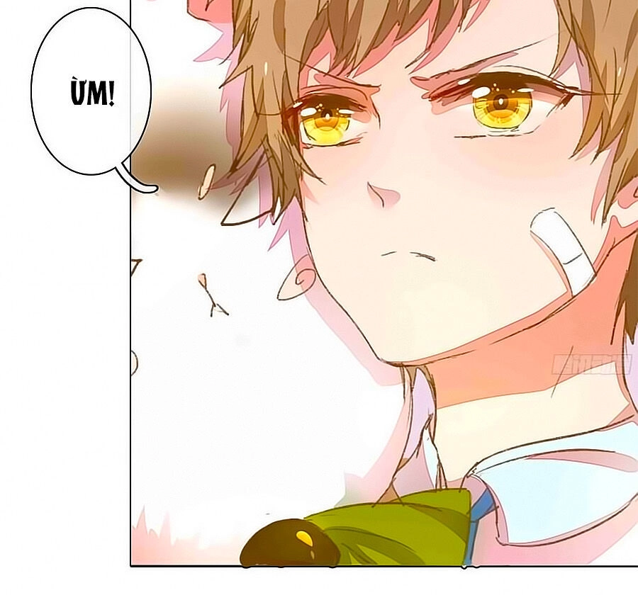 Hào Môn Tiểu Lãn Thê Chapter 40 - 7