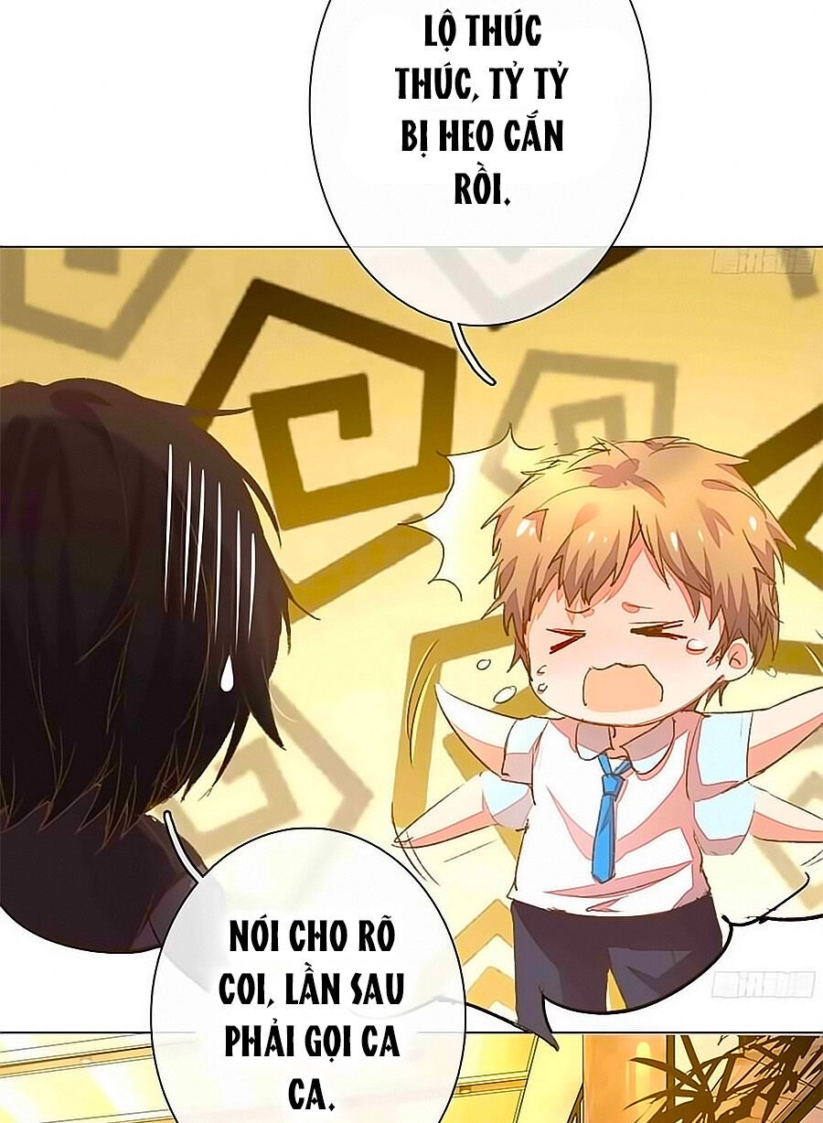 Hào Môn Tiểu Lãn Thê Chapter 41 - 12