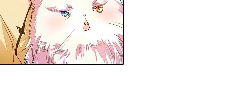 Hào Môn Tiểu Lãn Thê Chapter 77 - 4