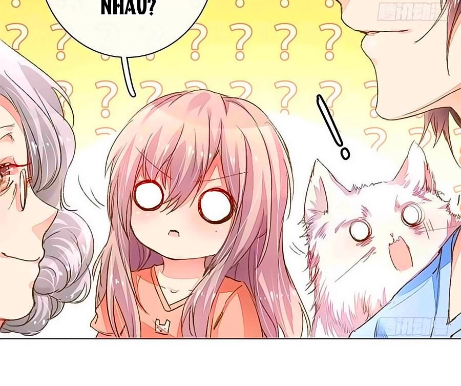 Hào Môn Tiểu Lãn Thê Chapter 77 - 6