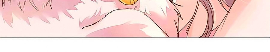 Hào Môn Tiểu Lãn Thê Chapter 97 - 14