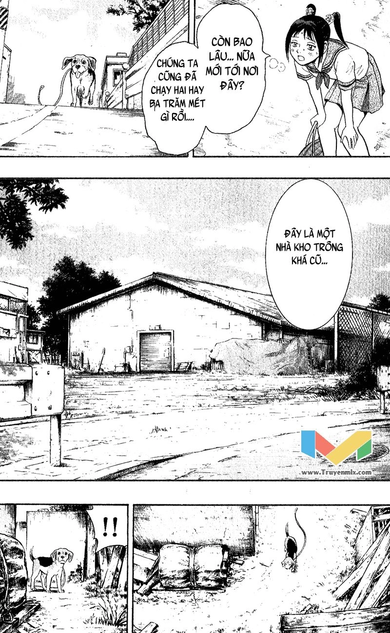 Animal Sense Chapter 1 - 44