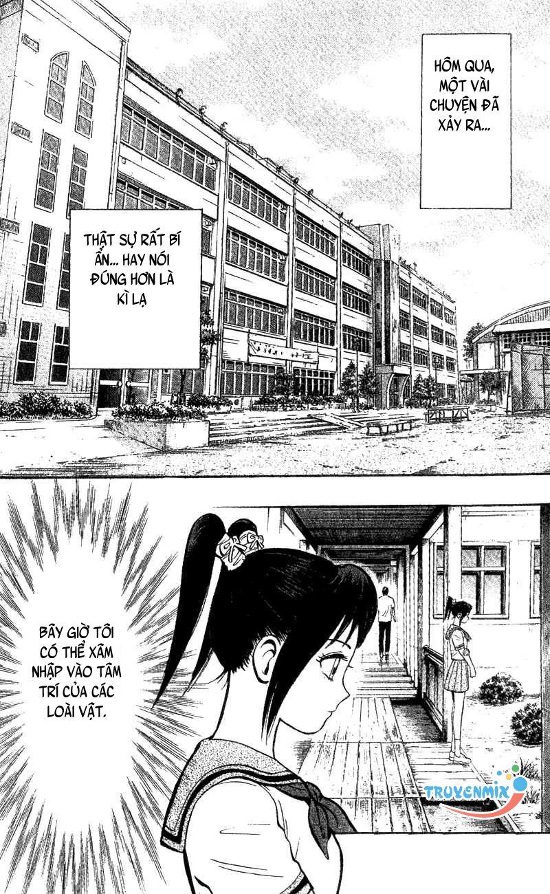 Animal Sense Chapter 2 - 4